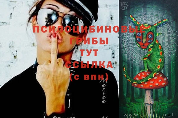 jwh Куйбышев