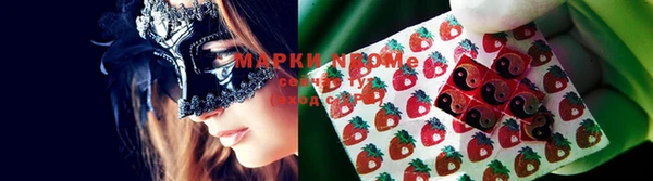 ГАЛЛЮЦИНОГЕННЫЕ ГРИБЫ Краснослободск