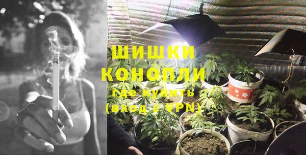 PSILOCYBIN Красноперекопск