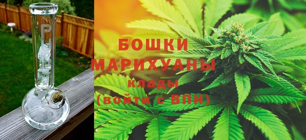ГАЛЛЮЦИНОГЕННЫЕ ГРИБЫ Краснослободск